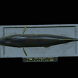 Pike-statue-17.png fish Northern pike / Esox lucius statue detailed texture for 3d printing