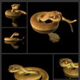 Collage3.jpg Bush Viper STL 3D Model with Full Size Texture + Zbrush Original High Polygon