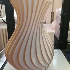 IMG_20190522_100314.jpg Vase Curve