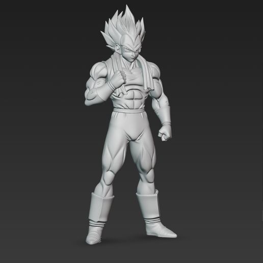 Vegeta gym