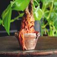4.jpg Mandrake Plant - Harry Potter