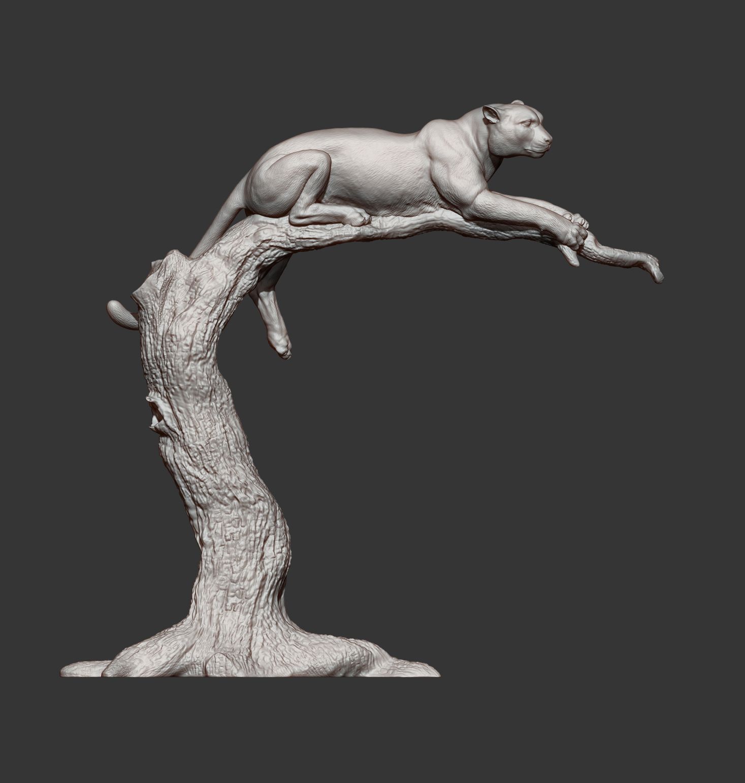 cheetah9.jpg Archivo 3D modelo de impresión 3D de un guepardo・Modelo de impresión 3D para descargar, akuzmenko