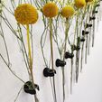 CAULE_design_Alberto-Ghirardello-6.jpg Caule - single flower wall vase