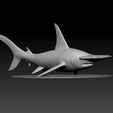 sharkkk.jpg Great hammerhead shark