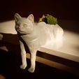 IMG_3775.jpg 猫のプランター・ポット