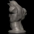 4.jpg Fanart Rhino from Spiderman - Bust