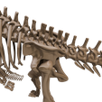 19.png Argentinosaurus : Esqueleto completo