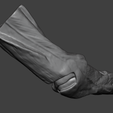 2.png Human Elbow Joint Anatomy — Bones, Ligaments, and Muscle Insertions