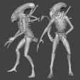 7. alien side.jpg Ripley’s Pet- by SPARX