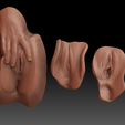 Preview.png Fichier STL Vulves imprimables en 3D・Objet pour impression 3D à télécharger
