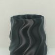 20240227_16322411.jpg Decor Vase Plant Abstract Twist ( Vase Mode )