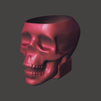 Capture d’écran 2017-11-14 à 16.56.36.png Crystal Skull Head Vodka Bottle