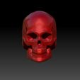 con3.jpg Skull Concept