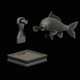common-carp-trophy-2-2-1-22.png COMMON CARP (CYPRINUS CARPIO) fish in motion trophy statue detailed texture for 3d printing