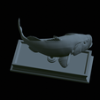 Bass-mouth-2-statue-4-35.png fish Largemouth Bass / Micropterus salmoides in motion open mouth statue detailed texture for 3d printing