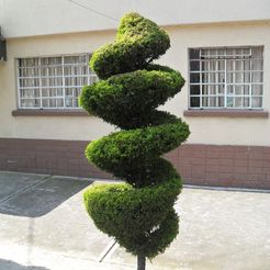 SDC15713.JPG Free STL file Tree in Mexico・Object to download and to 3D print