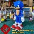 2sonic.jpg Archivo STL Flexi Sonic The Hedgehog - Print In Place - Sin soportes・Modelo para descargar e imprimir en 3D