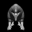 Newamb.jpg Ambulocetus Natans 3D-Referenzmodell.