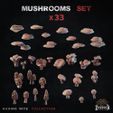 101-Mushrooms.jpg Champignons - Morceaux de base