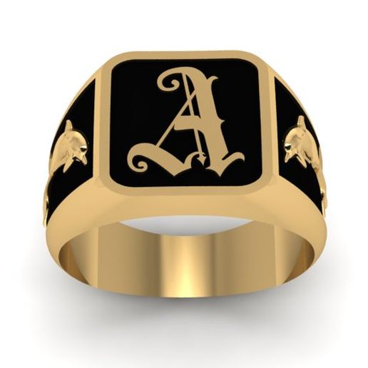 Ring Dolphins 3D model