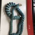 Serpiente y cascabel