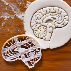 brain.png Brain cookie cutter