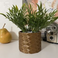 IMG_0274.jpg Free STL file Hidden Coin Storage Planter・3D printer design to download