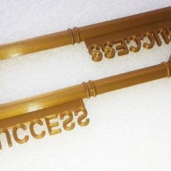 20181011_092841.jpg Fichier STL La clé du succès !・Objet imprimable en 3D à télécharger