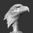 02.png Bald Eagle Head AM07 3D print model