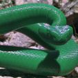 Cascabel-6.jpg Rattlesnake