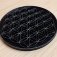 fleur-de-vie-photo.png Mould for flower of life
