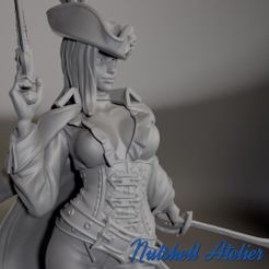 02.jpg STL file Nutshell Atelier - Pirate Girl・Design to download and 3D print