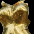hbnj.jpg Wonder Woman Golden Eagle Armor For Cosplay 3D print model