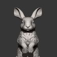 rabbit8.jpg Rabbit 3D print model