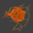 16.png 3D Model of Complete Eye Anatomy