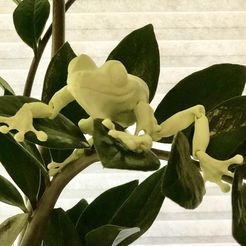 Articulated Poison Dart Frog