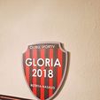 20230423_214917.jpg Logo Gloria Bistrita 2018