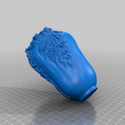 XA153cabbage.png STL-Datei Chinese cabbage kostenlos・Design für 3D-Drucker zum herunterladen, stronghero3d