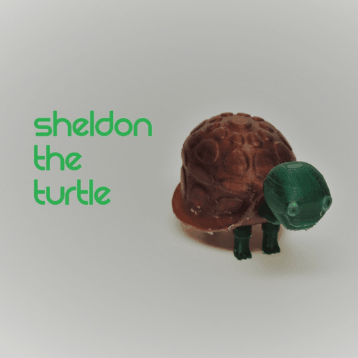 Capture d’écran 2018-03-30 à 12.09.35.png Sheldon the Turtle