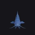 yellowfin_madtom_0001.jpg Yellowfin Madtom