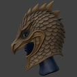 Screenshot-2025-10-13-215750.png Naga Scale Helm