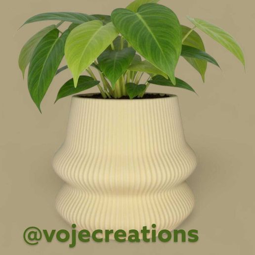 IMG-20250926-WA0002.jpg jarrón love handles