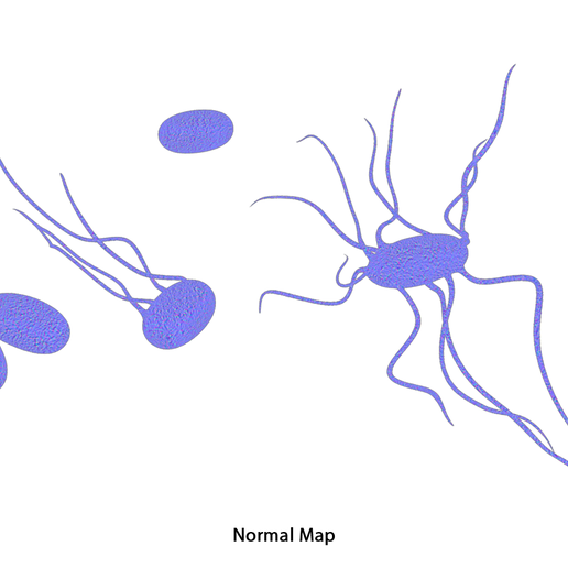 Typhoid_NM.png Fièvre typhoïde Maladie bactérienne