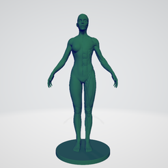female ana.png Archivo STL gratis Female anatomy・Plan de impresión en 3D para descargar