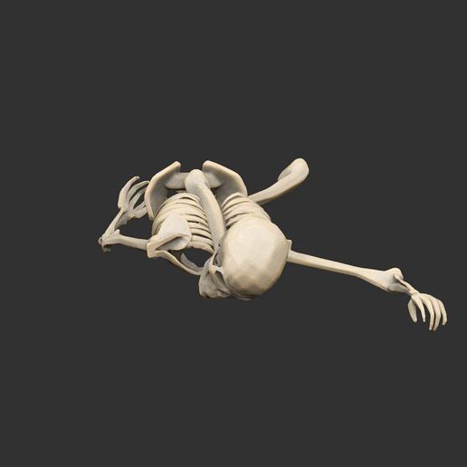 DeadSkeleton4P.jpg Esqueletos mortos em pose x4