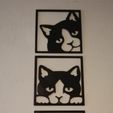 2427d041-f9c2-464e-ba8d-1f1aa316a267.jpg WALL CATS