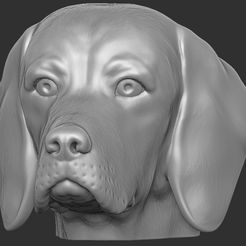 1.jpg STL-Datei Beagle-Hundekopf für den 3D-Druck・Design für 3D-Drucker zum herunterladen