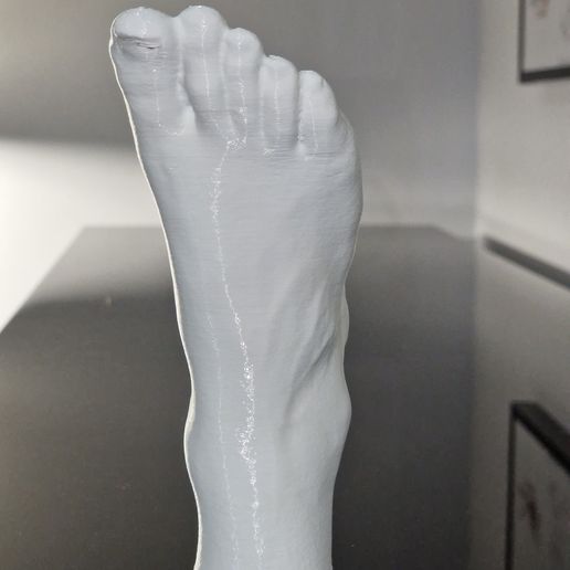 9.jpg Human foot