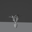 Screenshot_3-copia.png Plant