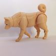 1645777468587.jpg Shiba inu BJD